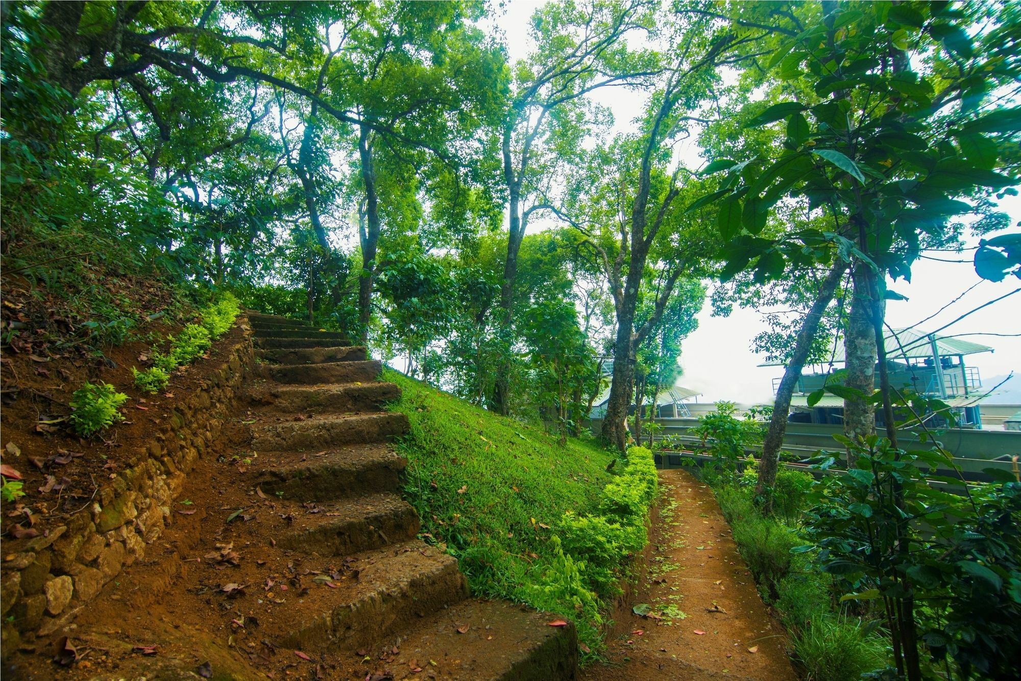 Forest Glade Resorts Chithirapuram Eksteriør bilde